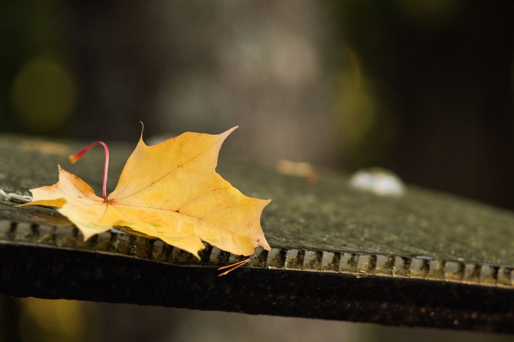 Photograph by Елена Квасова