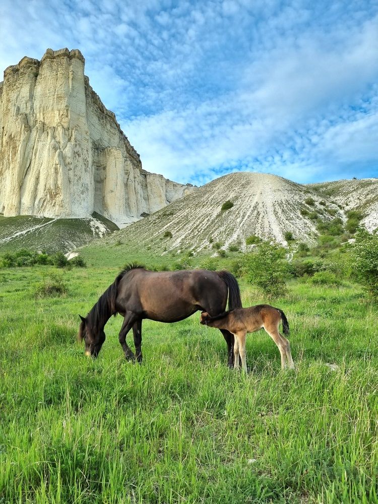 Photograph by Ангелина Шикина