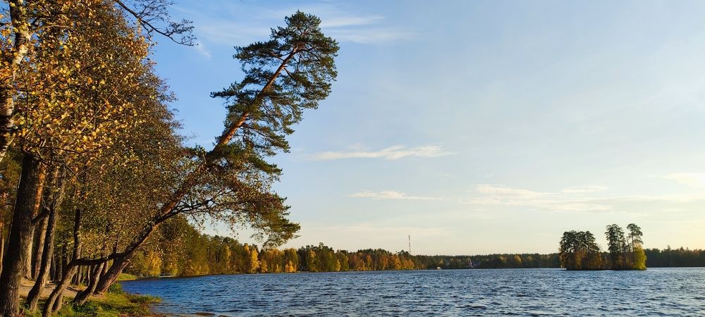 Photograph by Светлана Батурова