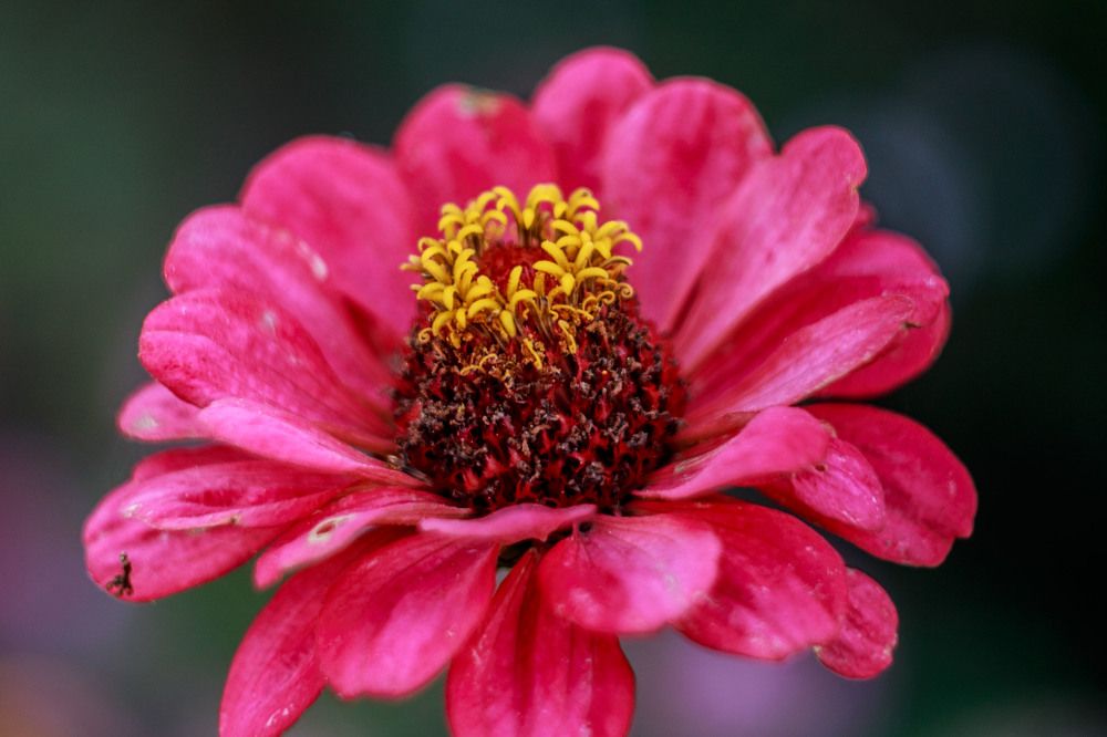 Photograph by Нелли