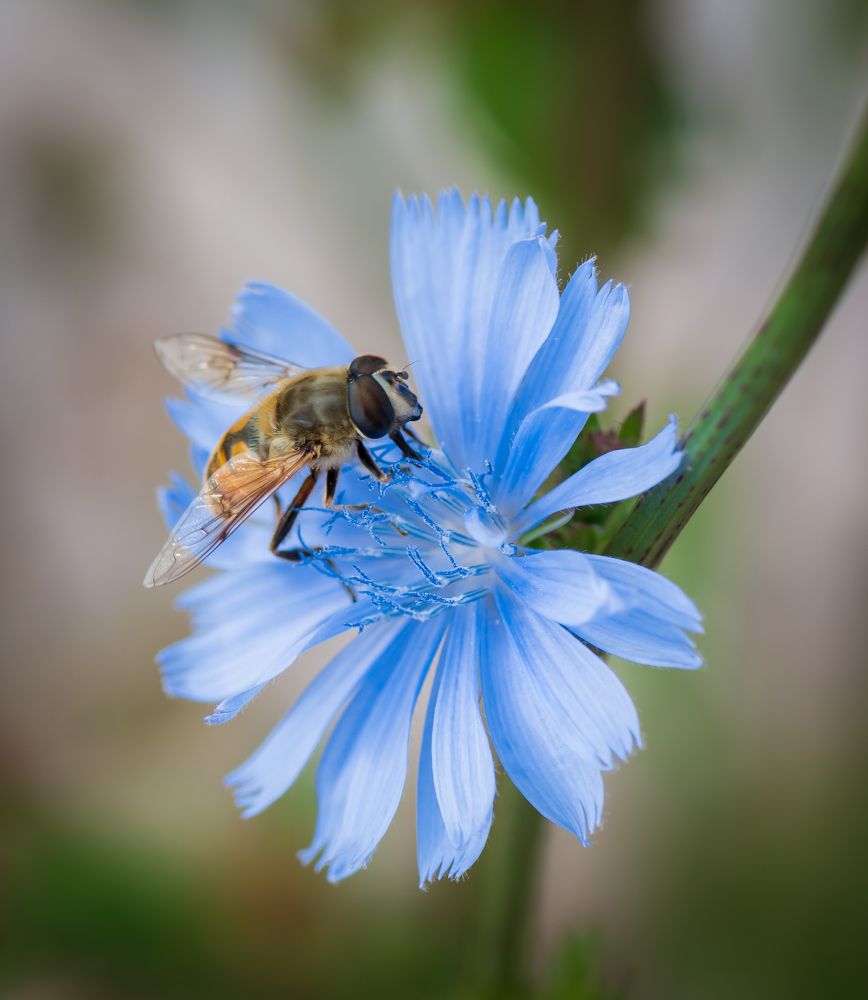 Photograph by Agita Leimane