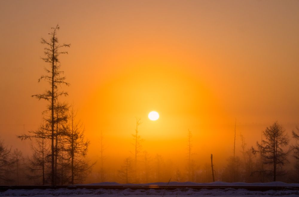 Photograph by Михаил Мархинин