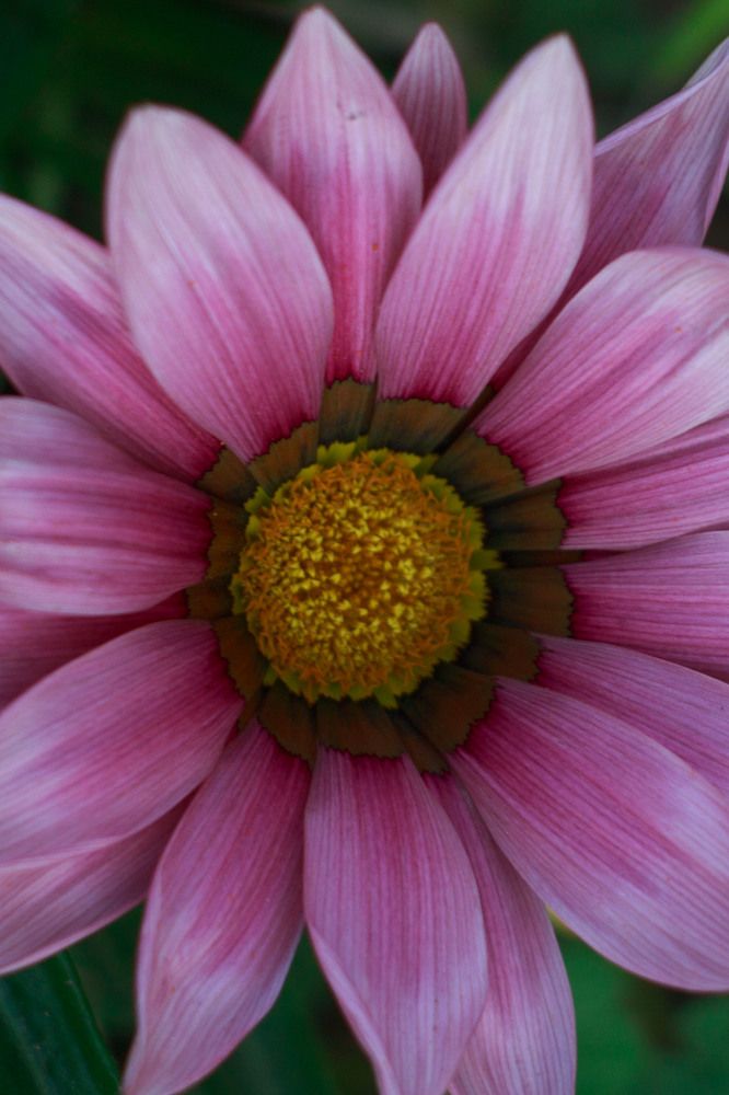 Photograph by Нелли