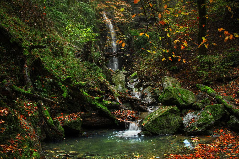 Фотография автора hasan sorena jouri