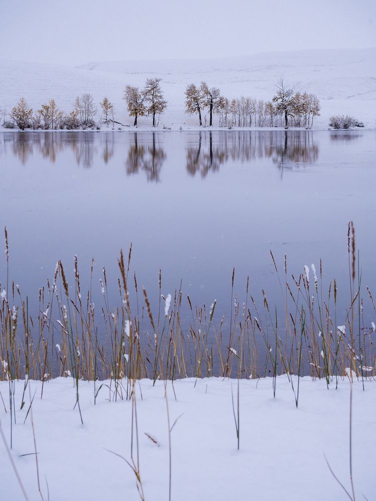 Photograph by Андрей Хаймин