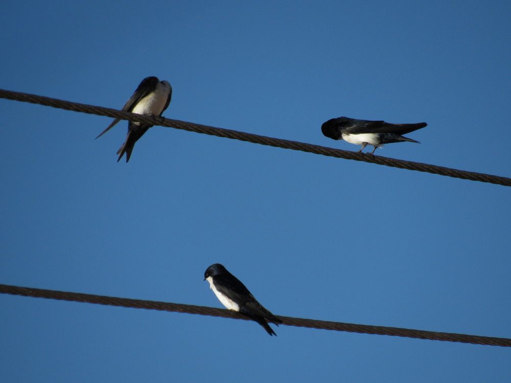 Photograph by Juliana