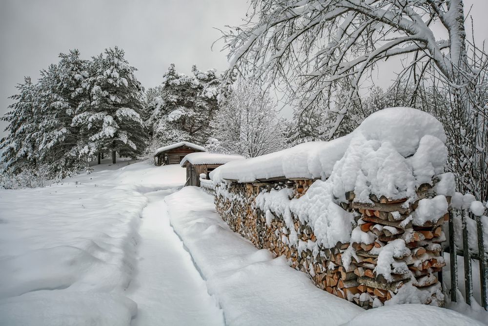 Photograph by Владимир Архипов