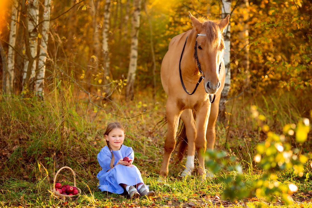Теплая осень
