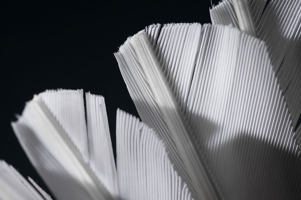 Photograph by Vedant Sharma