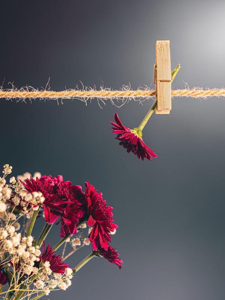 Photograph by amin roshan afshar