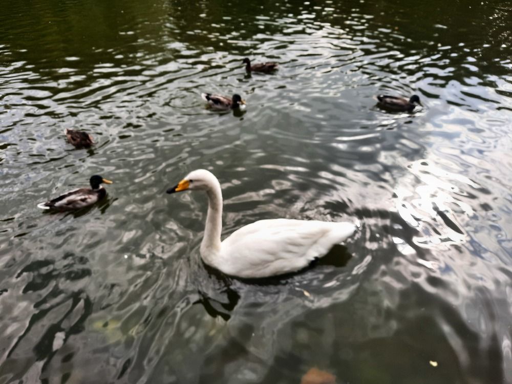 Photograph by Ирина Петракович