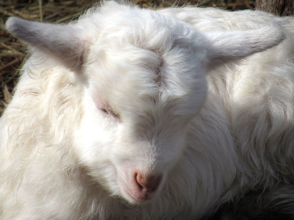 Photograph by Виктор Карпухин