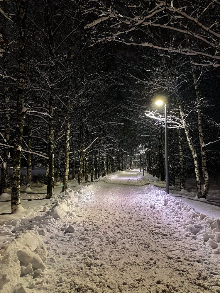 Photograph by Лия Маликова