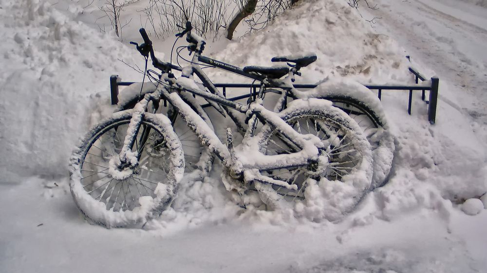 Photograph by Илья