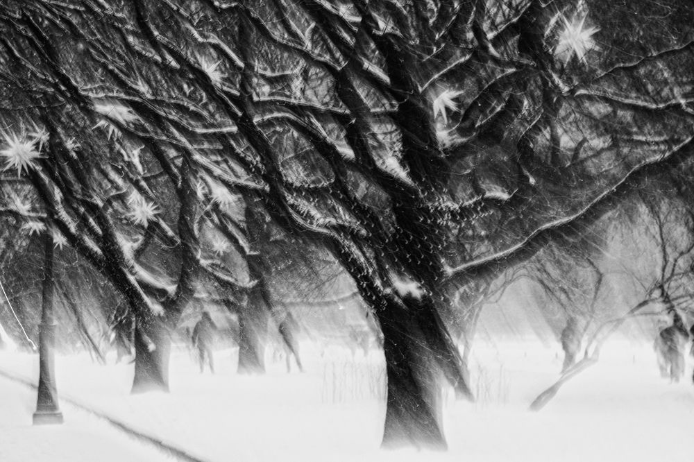 Photograph by Лазарев Евгений