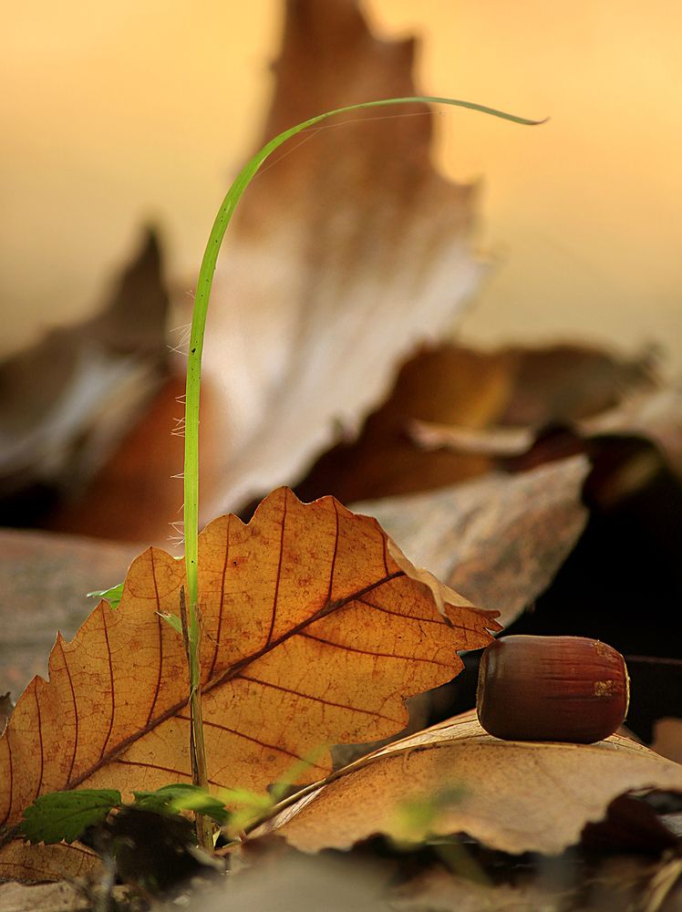 Photograph by 