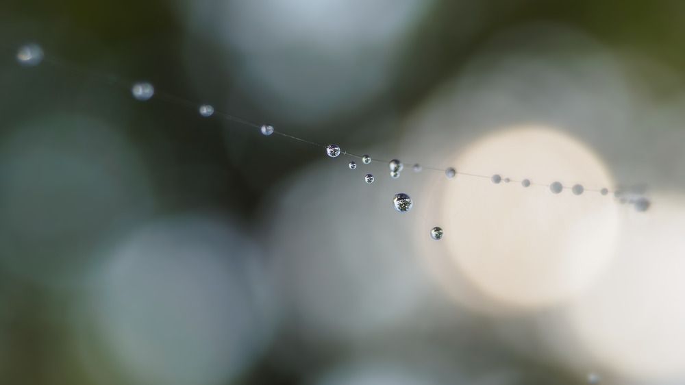 Photograph by Дмитрий Поварков