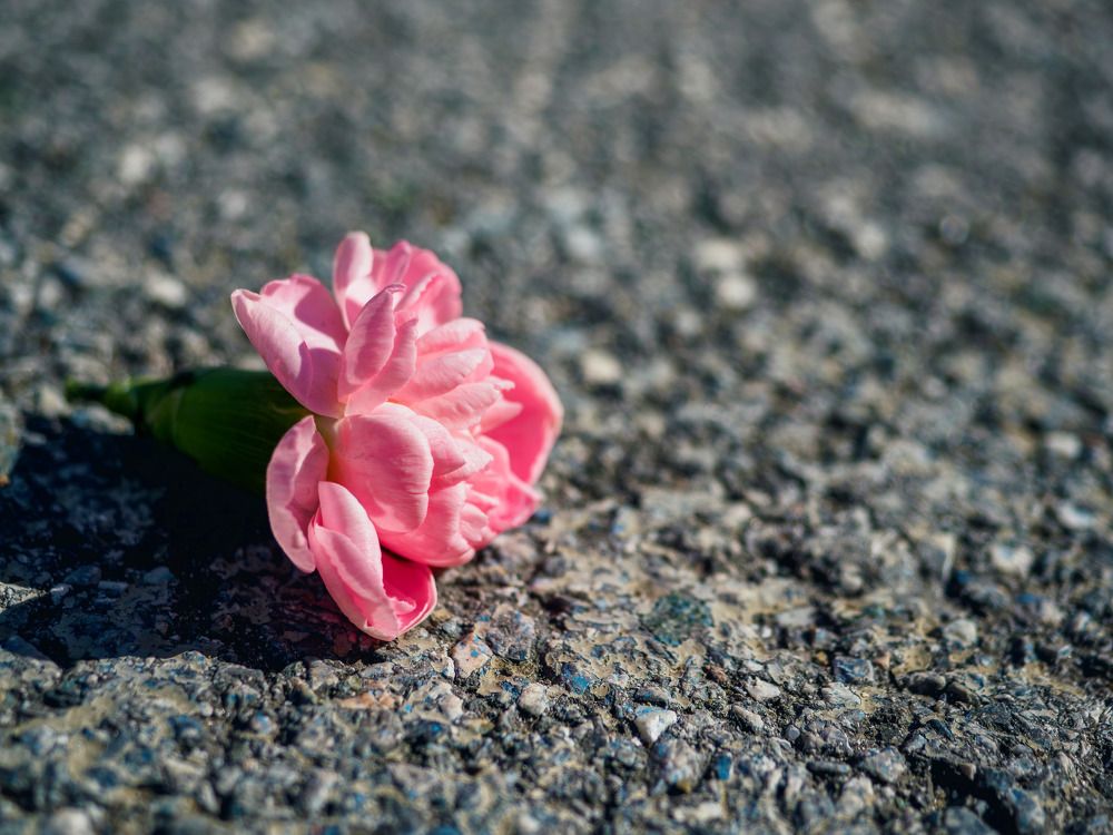 Photograph by Дмитрий Поварков