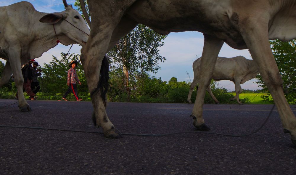 Photograph by Pheap Sophinh