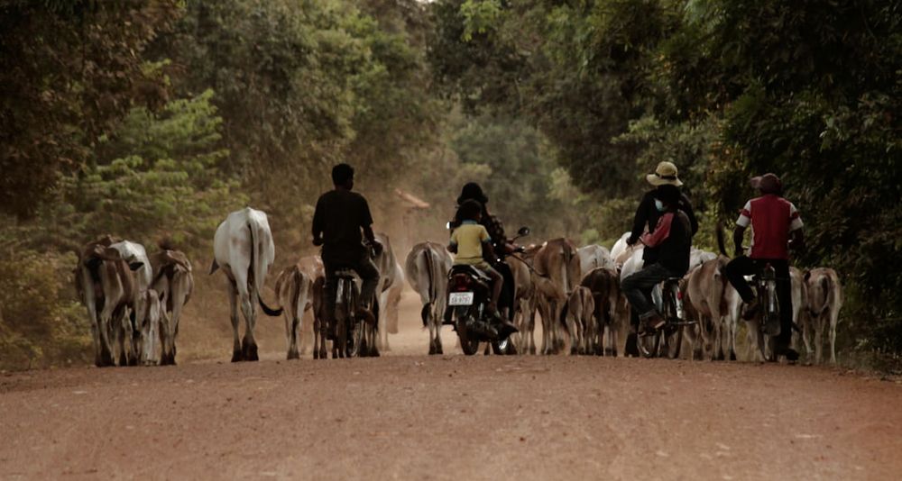 Photograph by Pheap Sophinh