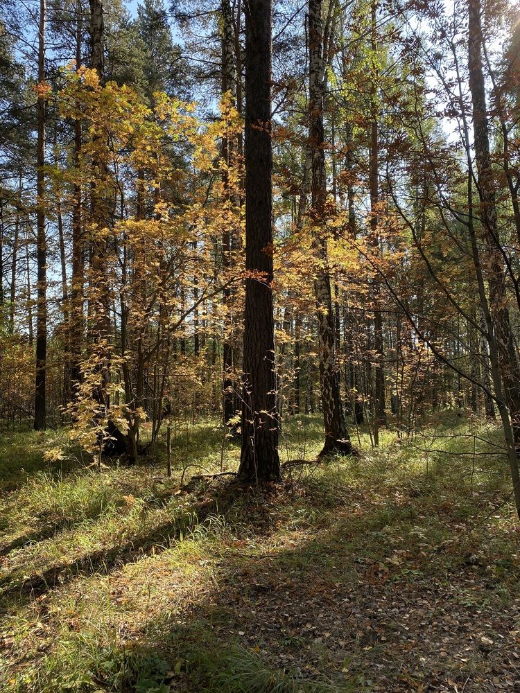 Photograph by Вера Романова