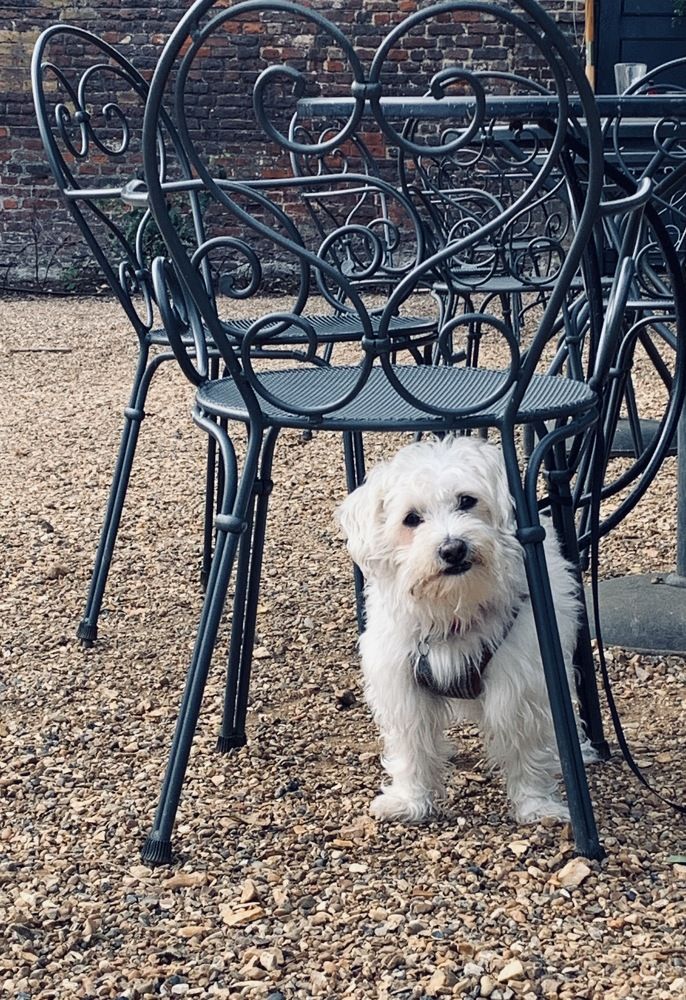 Photograph by Tatiana Serova