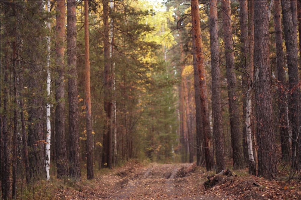 Photograph by Татьяна Гатиятуллина