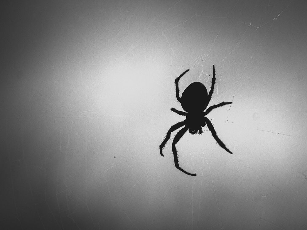 Photograph by Данила Черных