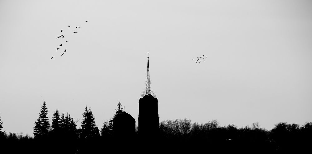 Photograph by Данила Черных