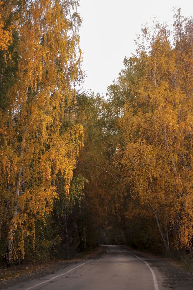 Photograph by Татьяна Гатиятуллина