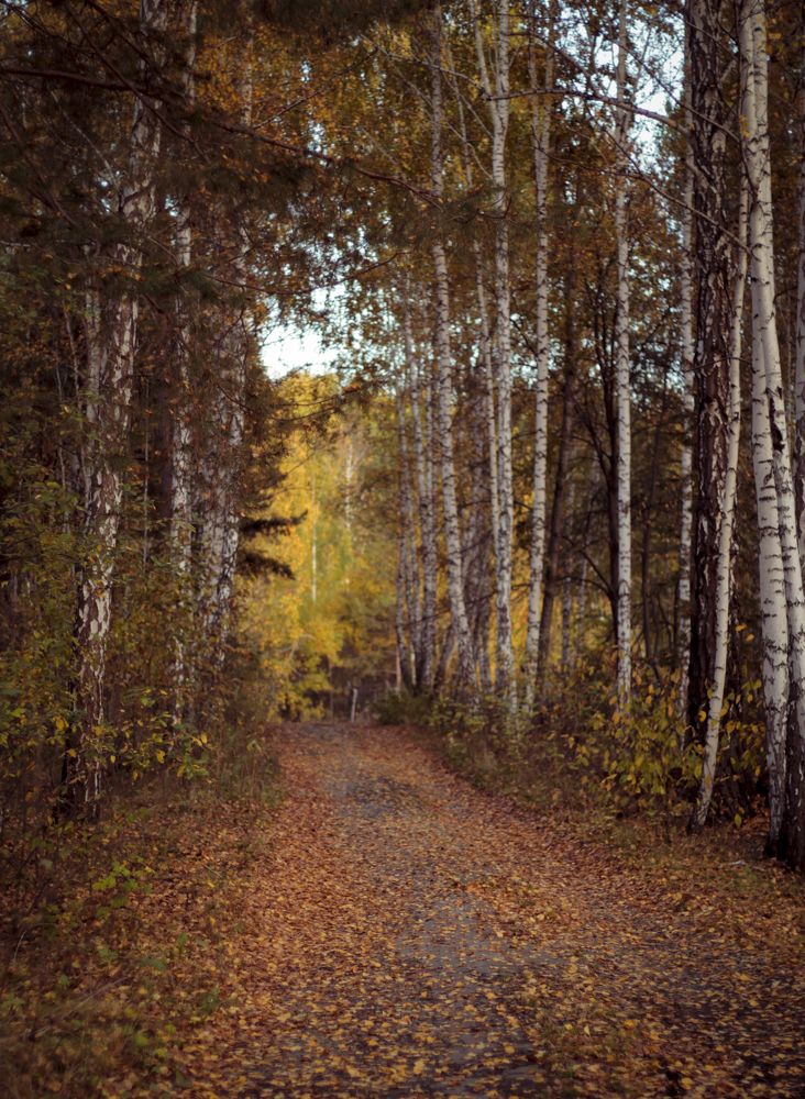 Photograph by Татьяна Гатиятуллина