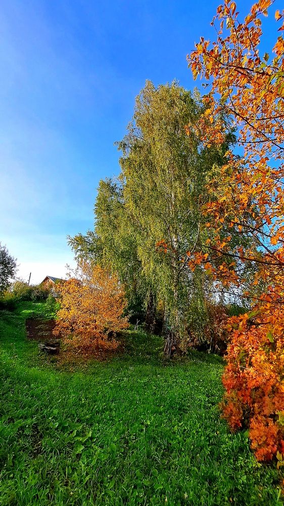 Photograph by Николай Худяков