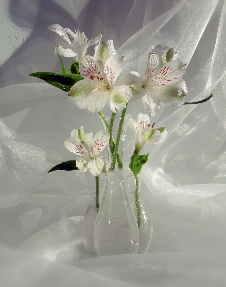 Photograph by Любовь Саханова