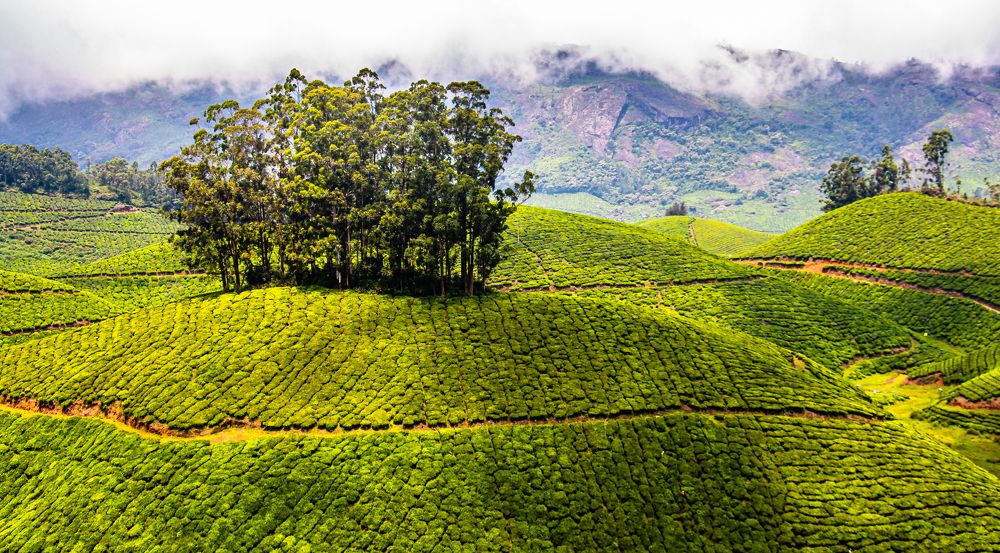 Photograph by Susobhan Biswas