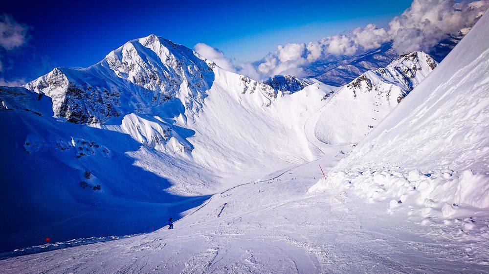 Фотография автора Elena Ku