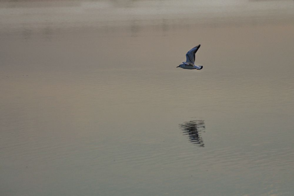 Photograph by Юлия Козельских