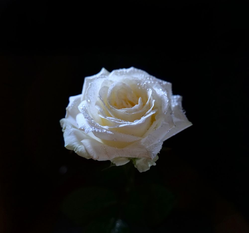 Photograph by Оксана Архипова