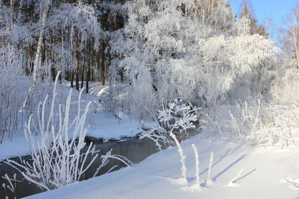 Фотография автора Кухта Мария