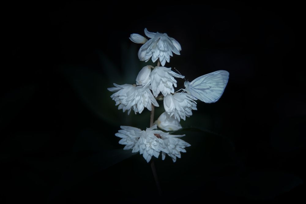 Photograph by Татьяна Колесникова