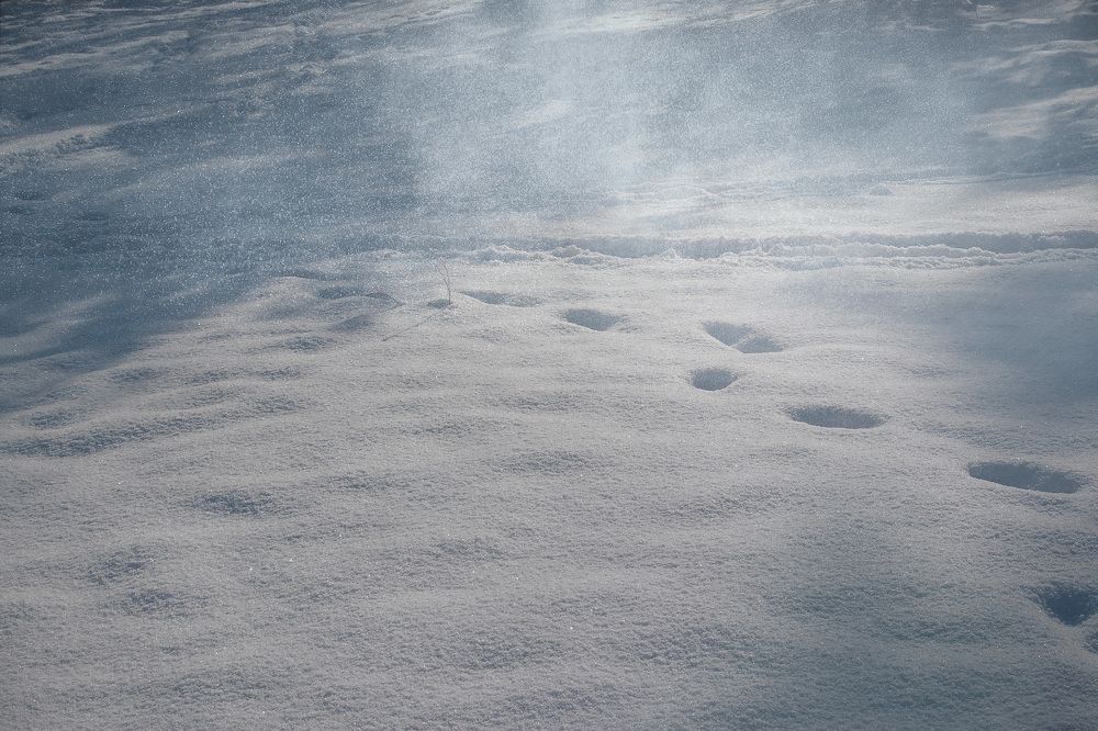 Photograph by Татьяна Колесникова