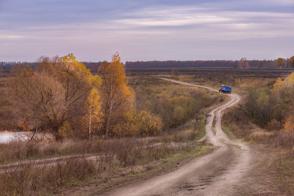Фотография автора Алёна Асташкина