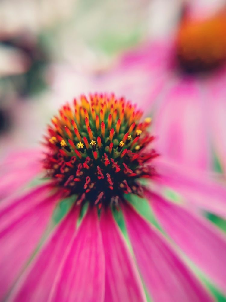 Photograph by Ekaterina Fadeeva