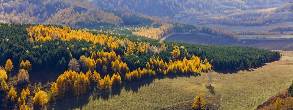 Осень в горах Чарыша