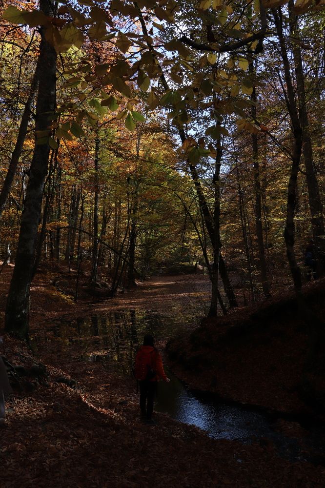 Photograph by Buket Demirel