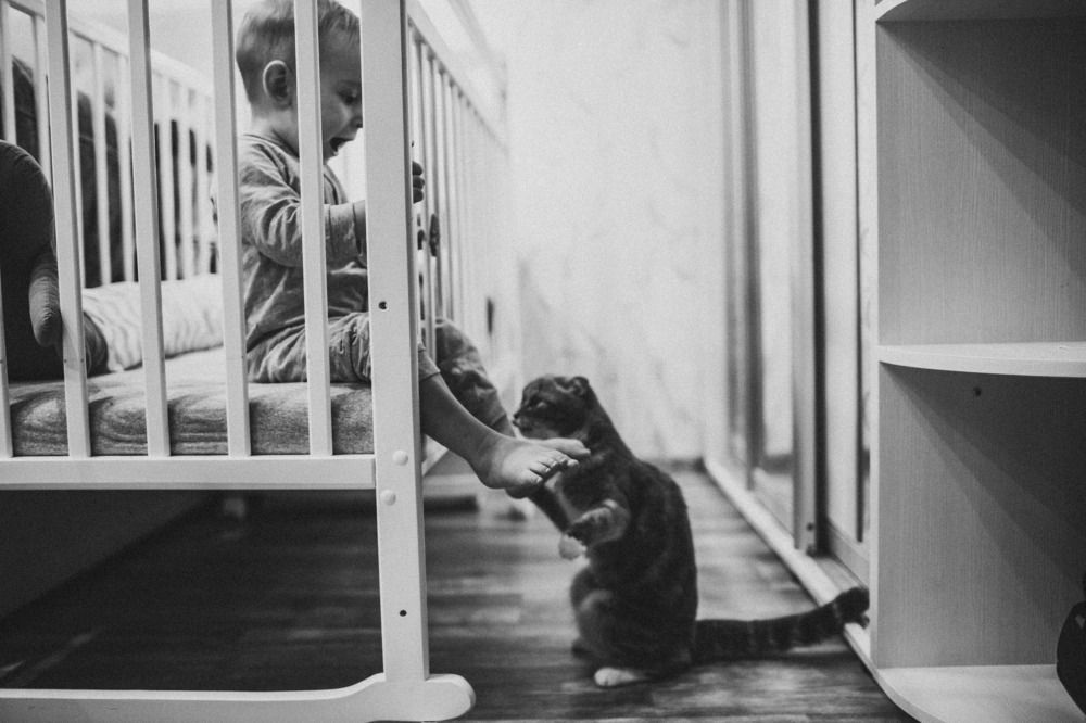 Фотография автора Татьяна Турнаева