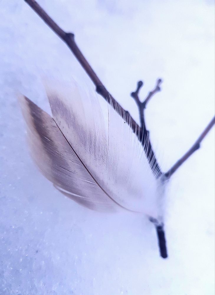 Photograph by Алла Никушкина