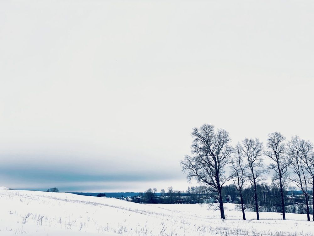 Photograph by Evgenia Privalova