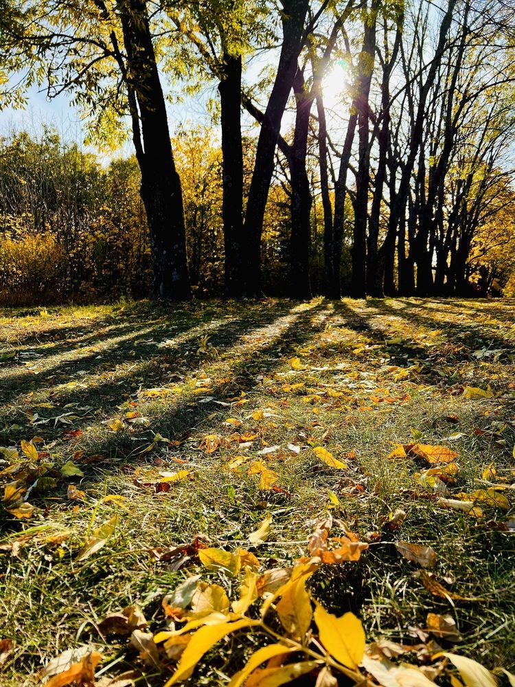 Photograph by Татьяна Зенина