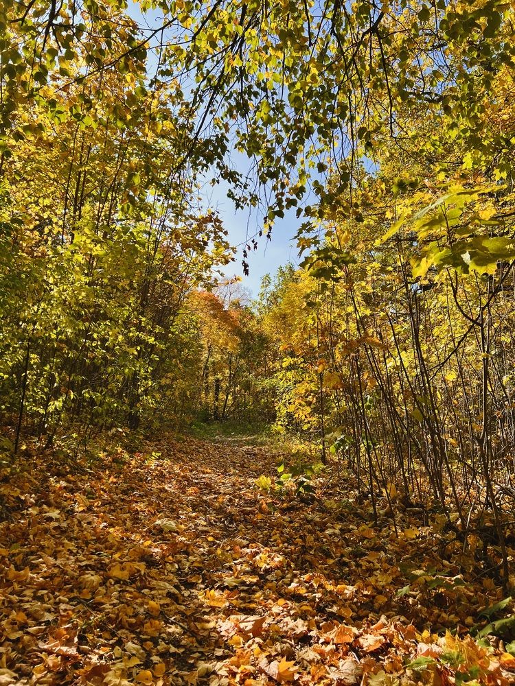 Photograph by Татьяна Зенина