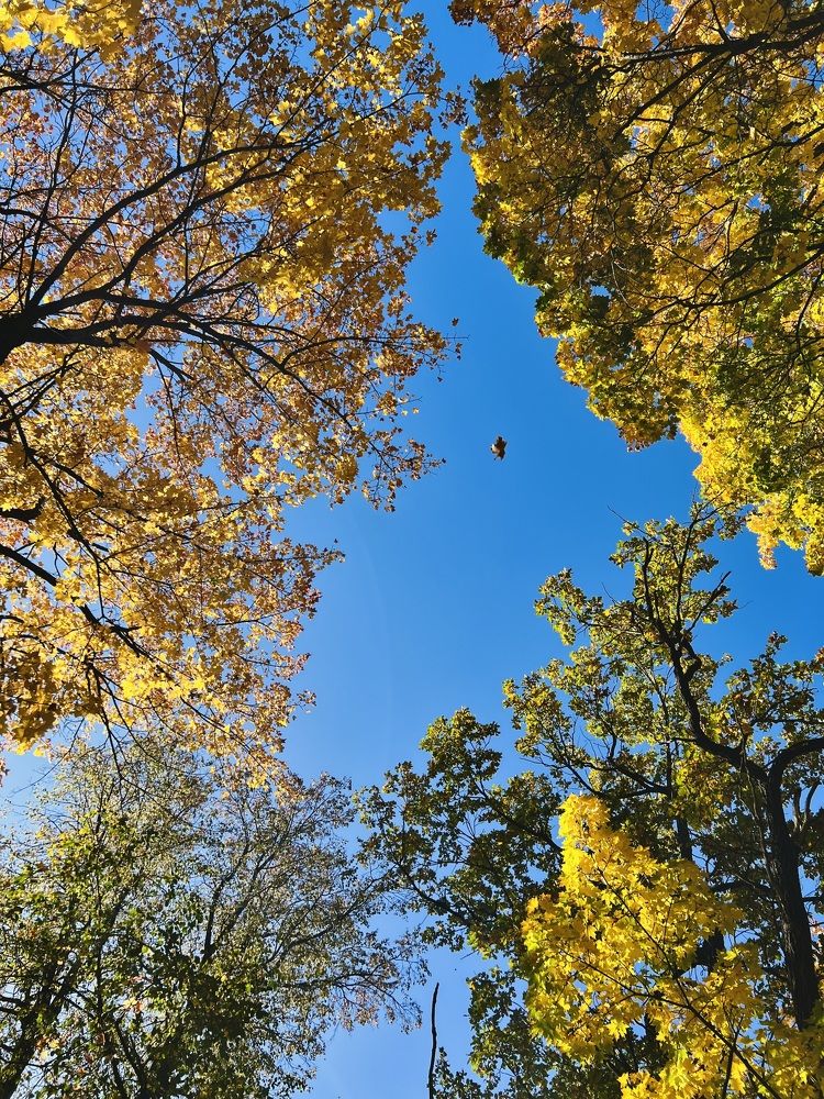 Photograph by Татьяна Зенина